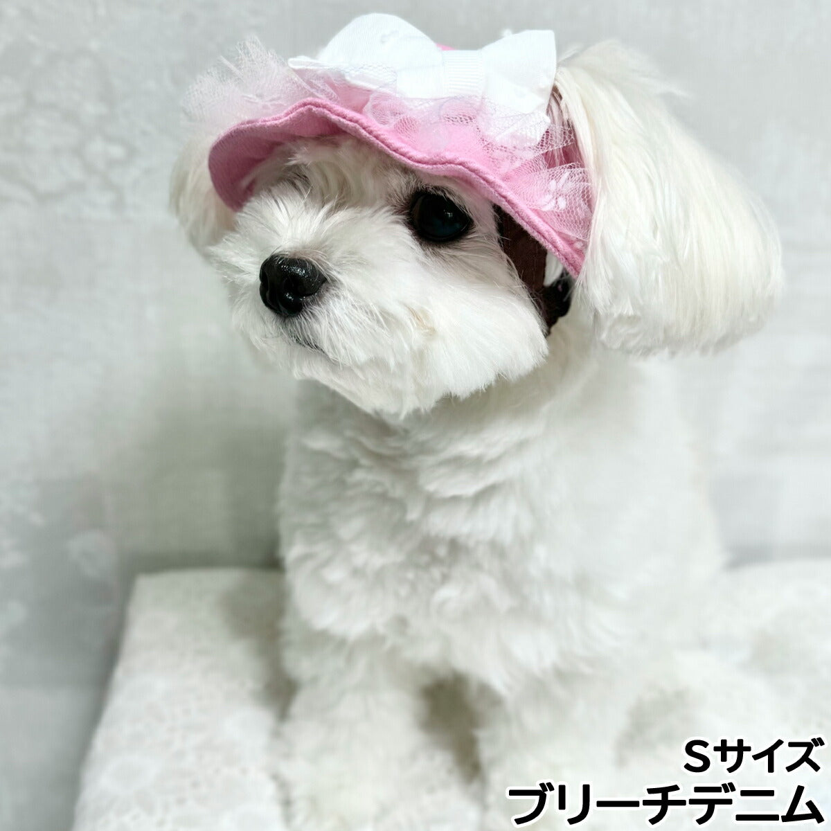 犬の帽子 ガーデンオブエデン ガーリーリボンハット S ブリーチデニム【送料無料】