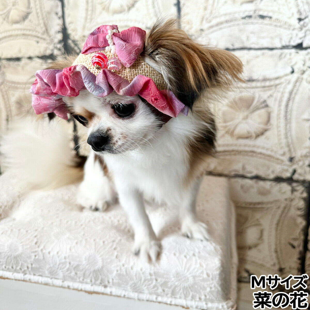 犬の帽子 ガーデンオブエデン ヨーヨーリボンハット M 菜の花【送料無料】