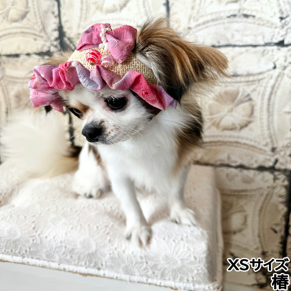 犬の帽子 ガーデンオブエデン ヨーヨーリボンハット XS 椿【送料無料】