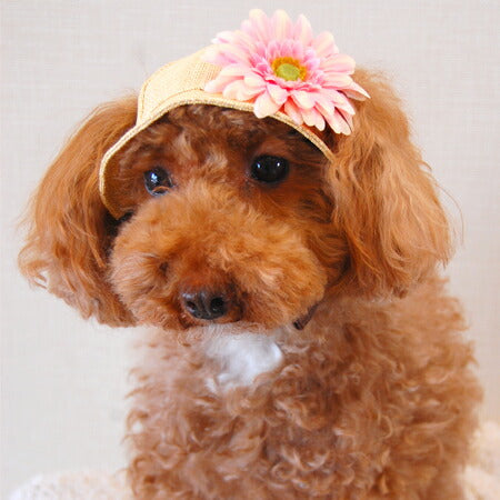 犬の帽子 麦わらハット ガーベラ 犬用品/ペットグッズ/ペット用品 楽天BOX受取対象商品