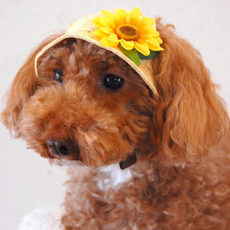 犬の帽子 麦わらハット ひまわり 犬用品/ペットグッズ/ペット用品 楽天BOX受取対象商品