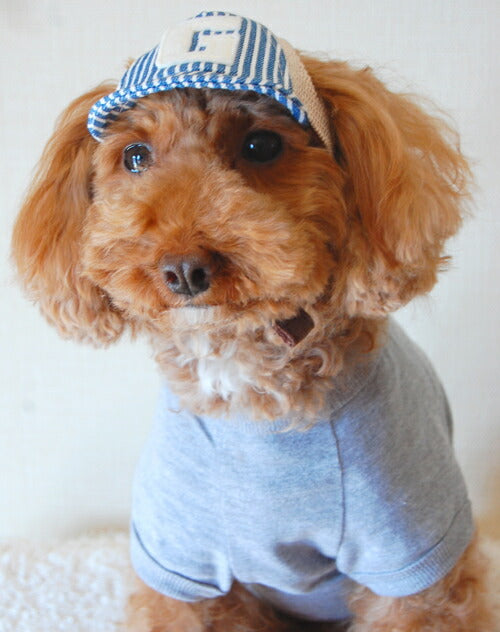 犬の帽子 デニム&ヒッコリーベースボールCAP