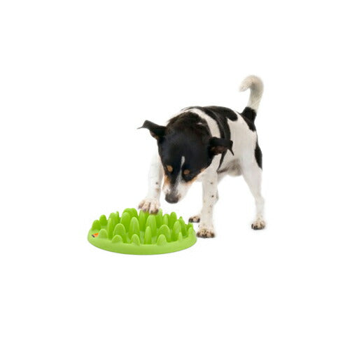 Green 犬 早食い防止 食器 フードボウル 餌入れ スローフィーダー 有害物質不使用