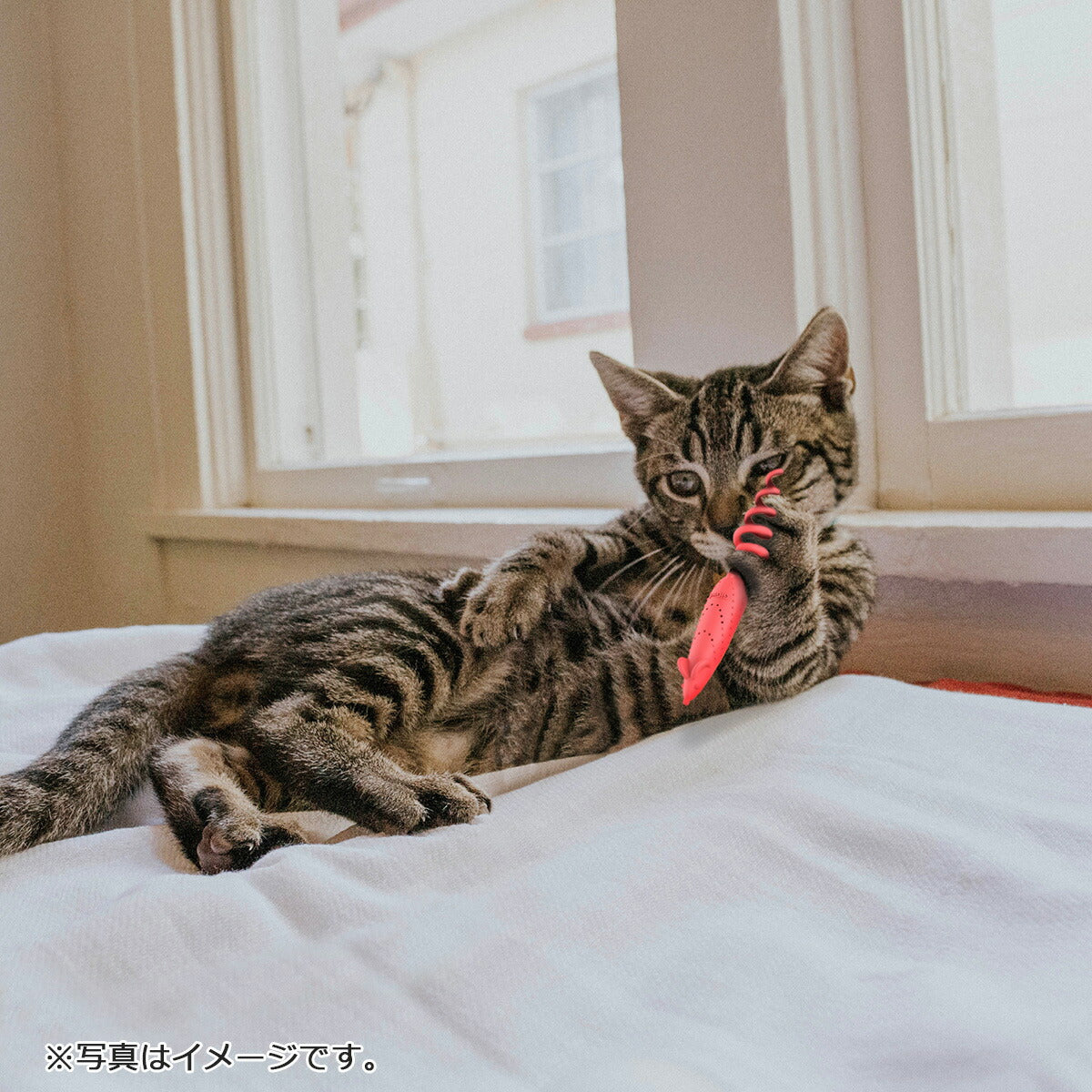 GiGwi スプリングマウス猫のおもちゃ マタタビ入り