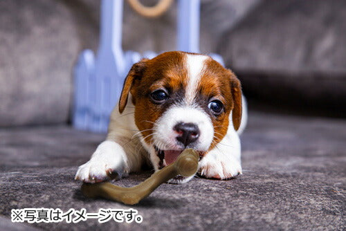 GiGwi スーペリアボーン M 犬のおもちゃ 噛む