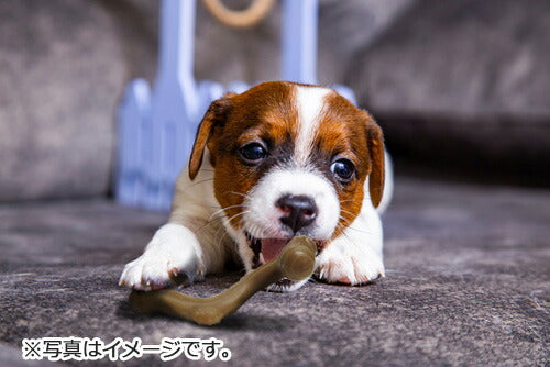 GiGwi スーペリアボーン L 犬のおもちゃ 噛む