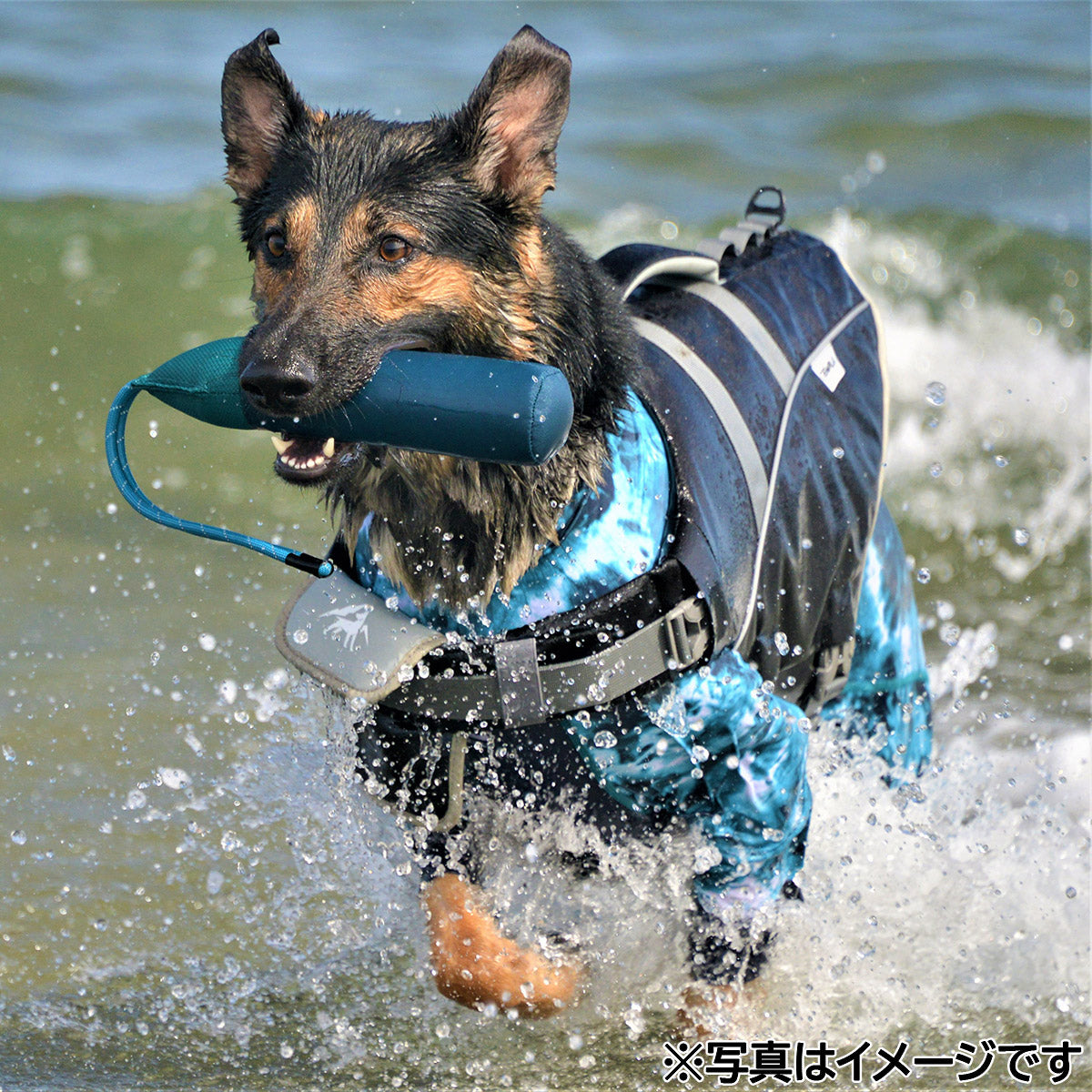 ジウォーク GEWALK Z-7 バイティング フロート M グレー