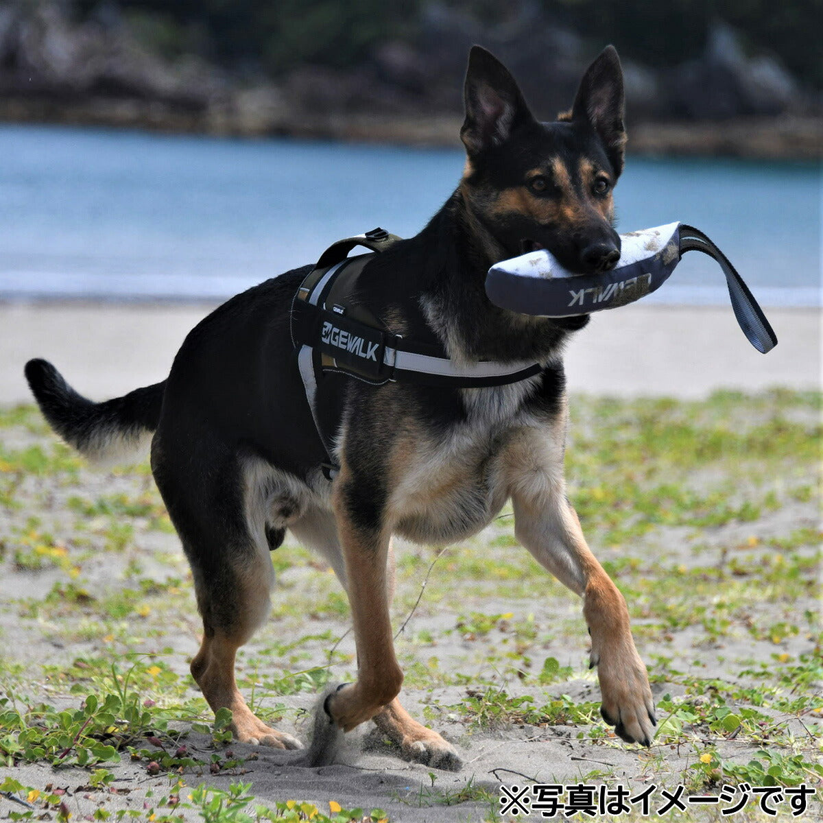 ジウォーク GEWALK Z-7 バイティング バナナ M グレー