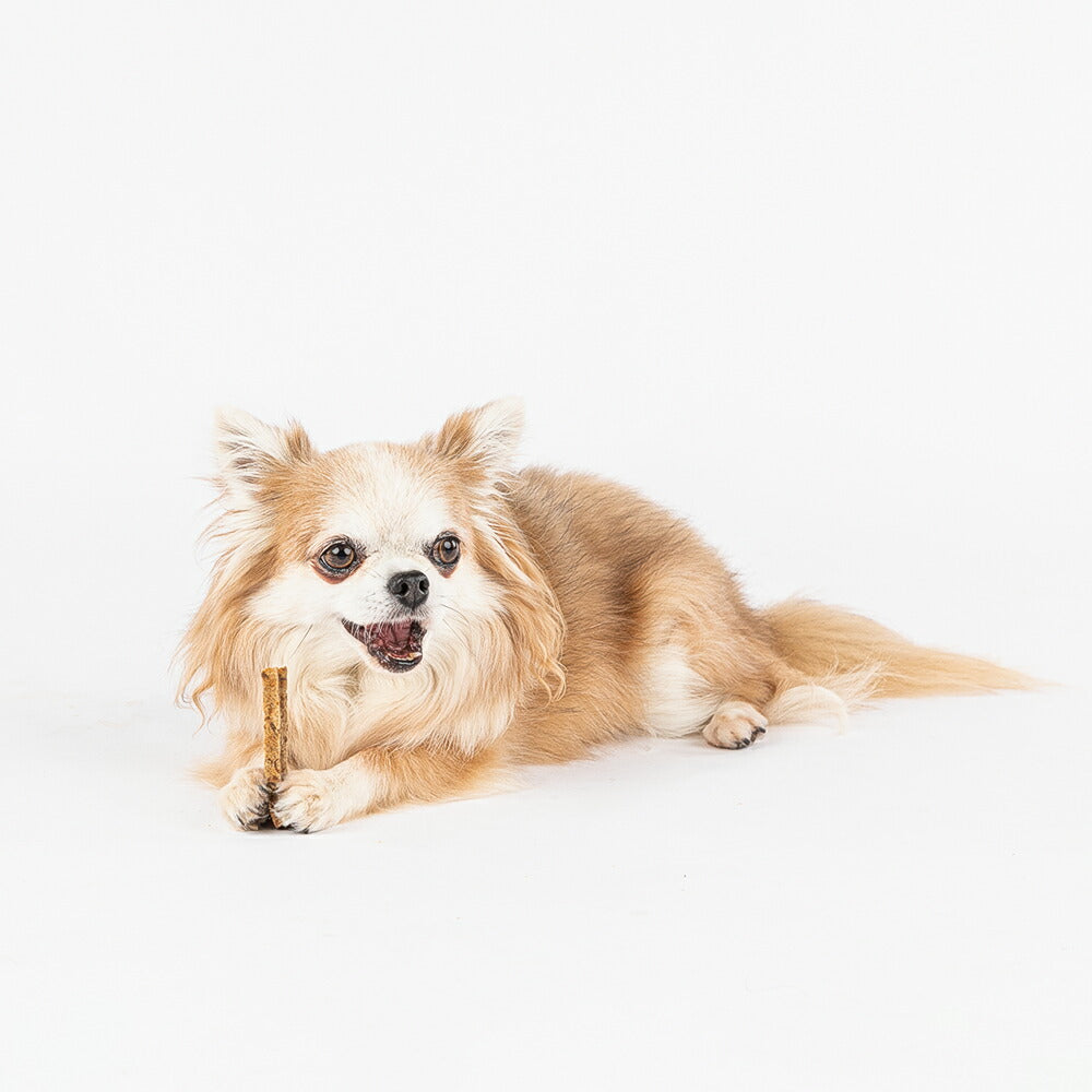 HappyDays 国産まぐろ100%スティック 60g 犬 おやつ 無添加 国産