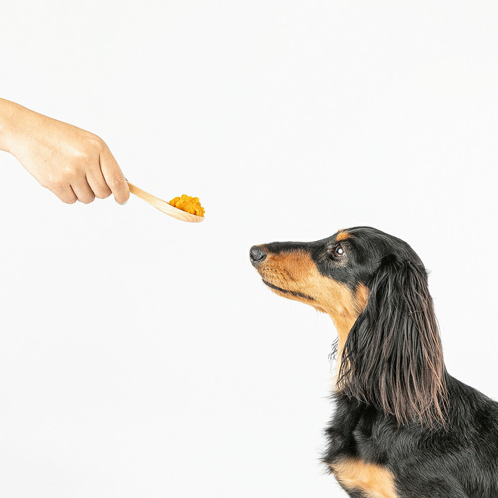 HappyDays 大地からの贈り物 素材100%の野菜フレークミックス 150g 犬 ごはん トッピング ふりかけ 無添加 国産 栄養補助食 シニア