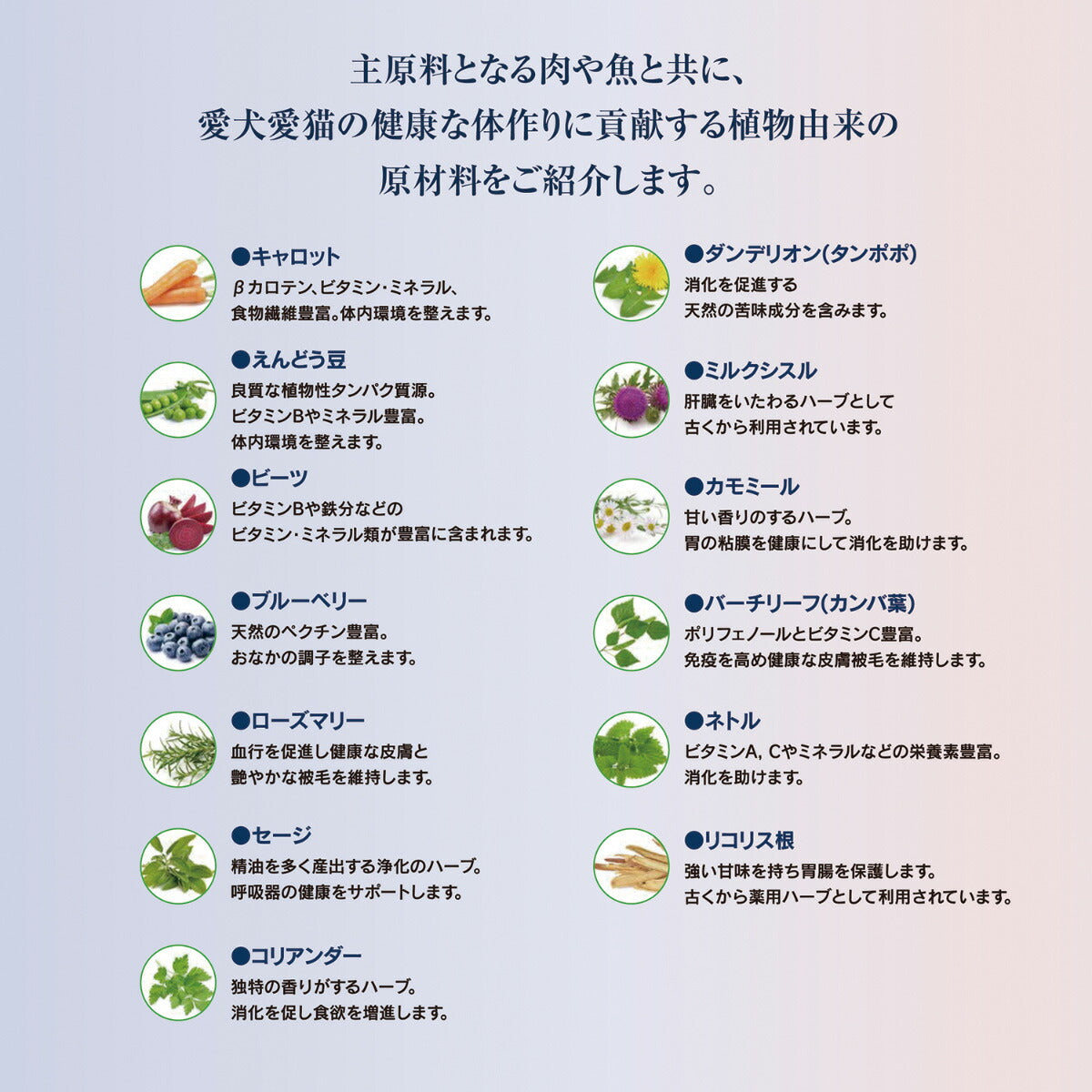 ハッピーキャット HAPPY CAT キャットフード カリナリー スプリング トラウト 4kg【送料無料】