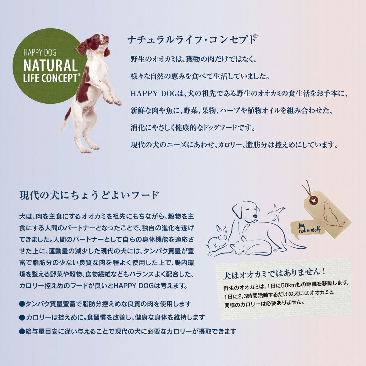 ハッピードッグ HAPPY DOG ドッグフード センシブル ピエモンテ(グレインフリー、ポテトフリー)ダック&シーフィッシュ アレルギーケア(成犬~シニア犬用) 1kg