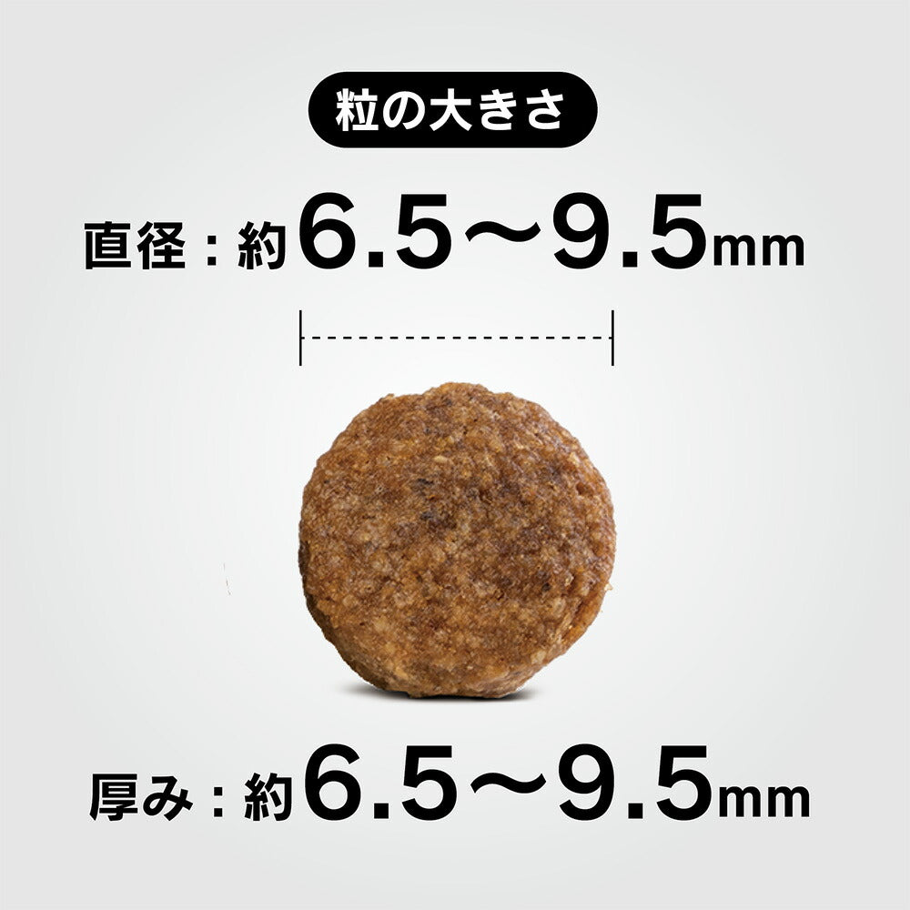 ハッピードッグ HAPPY DOG ドッグフード ミニ フィット&バイタル シニア(シニア犬用) 800g