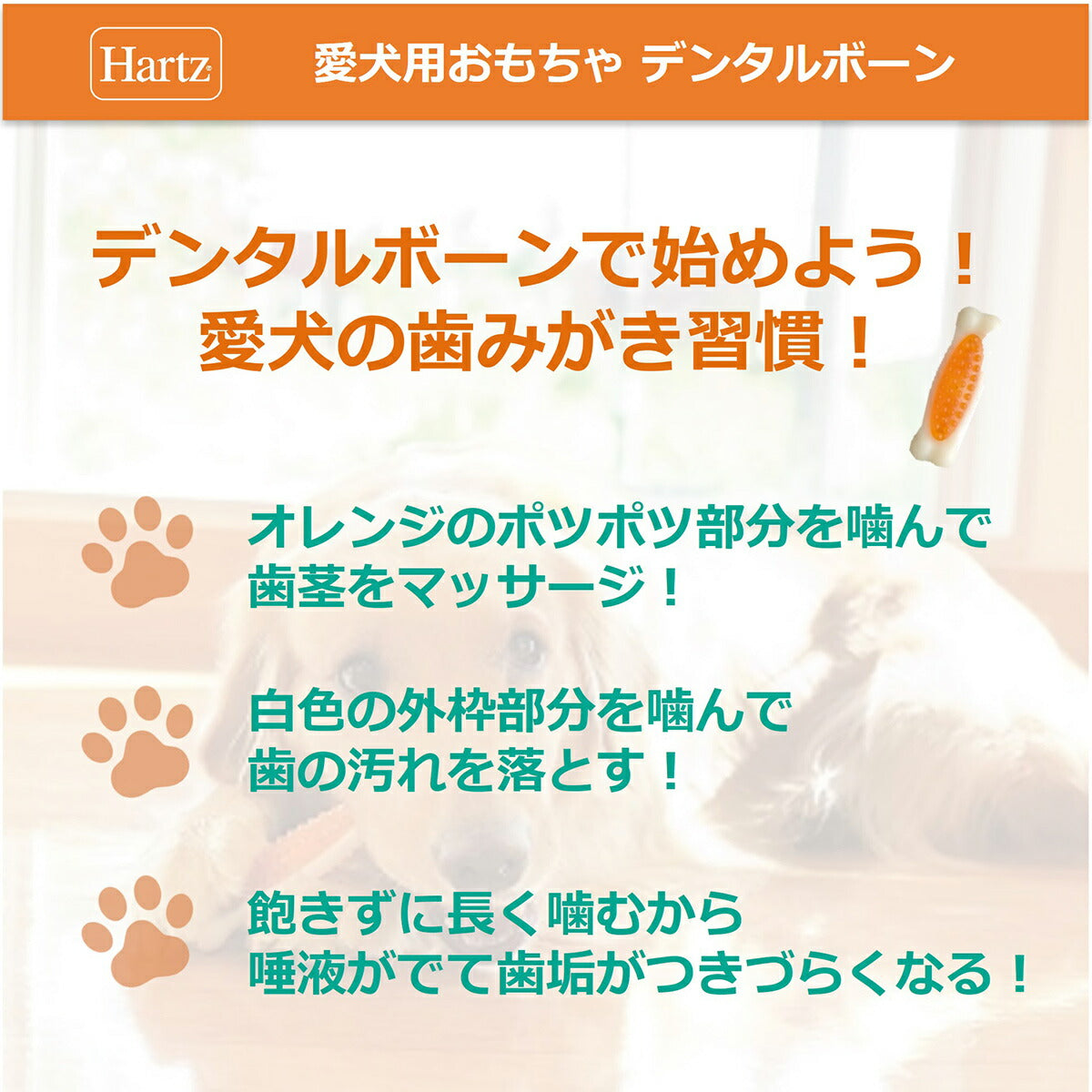 ハーツ デンタル ボーン ベーコンフレーバー ミニ