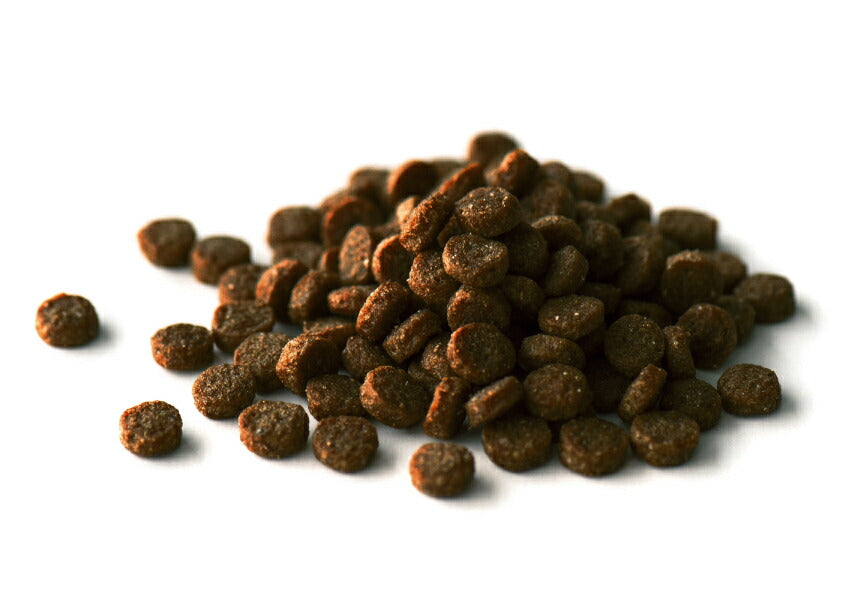 キアオラ ドッグフード ラム&レバー 4.5kg 犬 ドライフード 総合栄養食 無添加 グレインフリー 全年齢用 オールブリード 【送料無料】