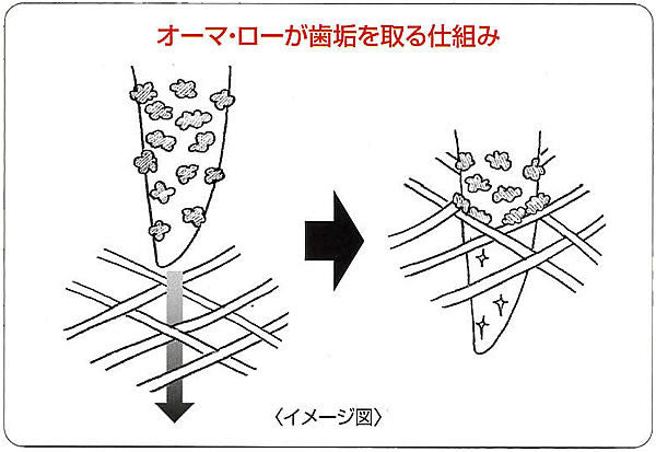 オーマ・ロー トウモロコシ デンタルトイ 歯みがき おもちゃ オーマロー 犬用品/ペットグッズ/ペット用品