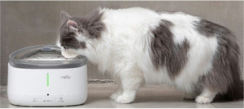 ネロ nello コードレス給水器 犬 猫 自動給水器 給水器 水飲み器 水分補給 浄水 自動 充電式 分解丸洗いOK