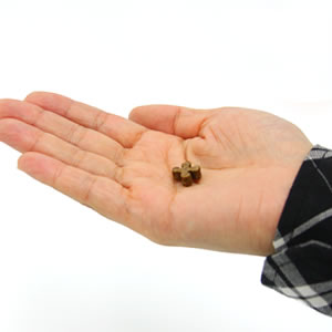 わんこのリモナイト 超小粒 ソフトタイプ 50g 消臭 おやつ ジャーキー 犬用品/ペットグッズ/ペット用品