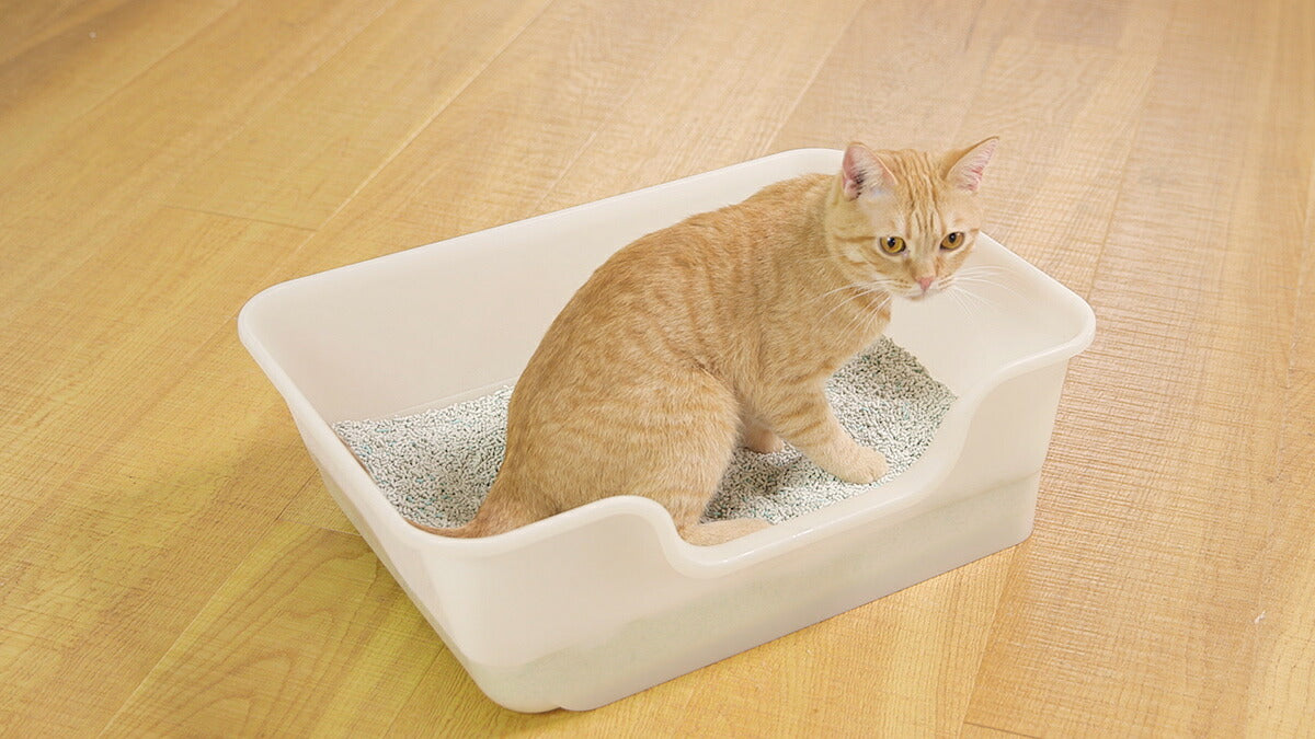 ライオン 獣医師開発 ニオイをとる砂専用 猫トイレ
