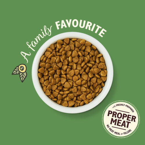 リリーズキッチン キャットフード ドライフード 成猫用 チキンキャセロール 2kg【送料無料】 無添加 猫