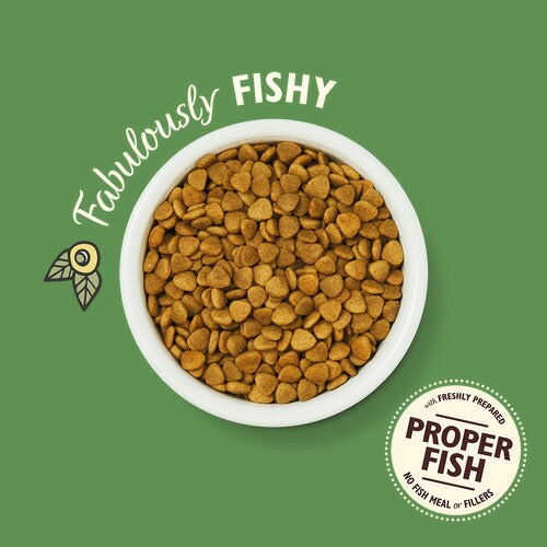 リリーズキッチン キャットフード ドライフード 成猫用 漁師風のご馳走ホワイトフィッシュとサーモン 2kg【送料無料】 無添加 猫
