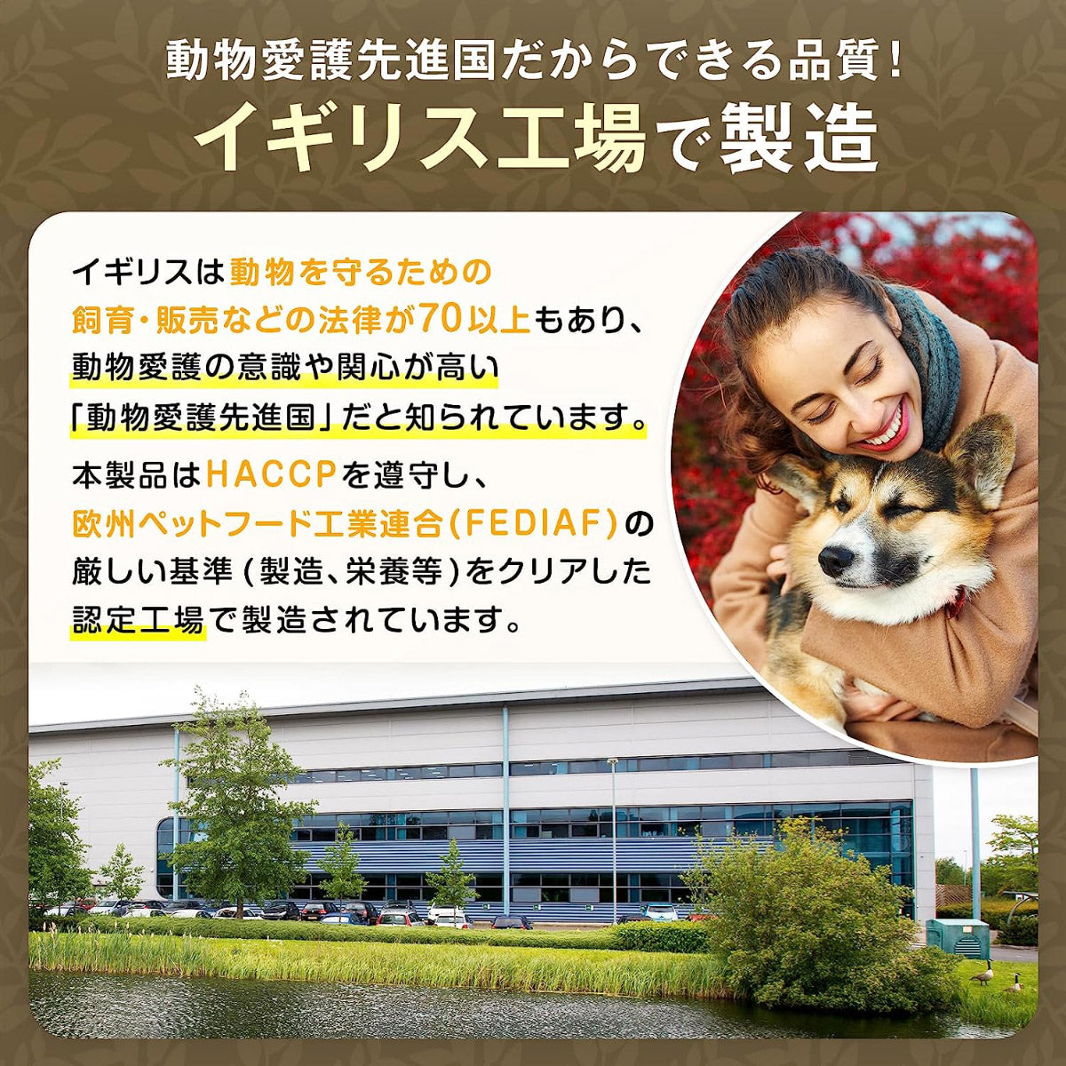 ロットプレミア キャットフード チキン&サーモン 子猫~高齢猫 1.8kg【送料無料】