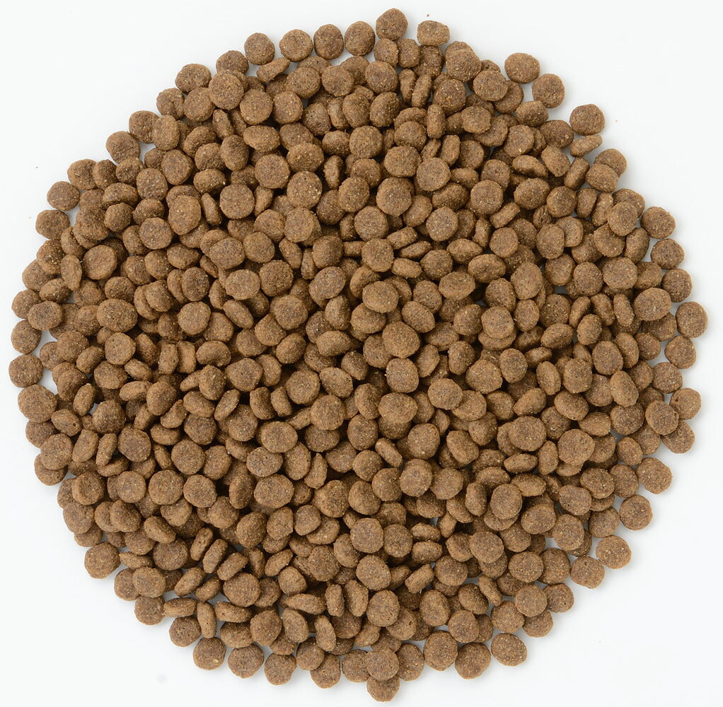ナチュラルハーベスト ベーシックフォーミュラ メンテナンススモール フレッシュターキー ポータブルパック 100g×30袋 ドッグフード 無添加 4521254006724