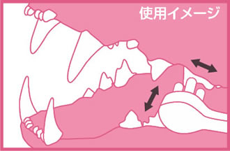 猫口ケア 歯ブラシ マイクロヘッド 猫用品/ねこグッズ/ペットグッズ/ペット用品