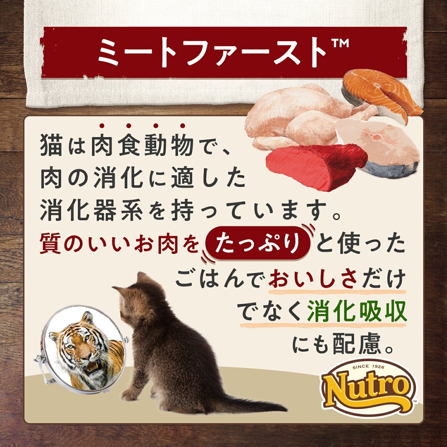 ニュートロ ナチュラルチョイス キャットフード 室内猫用 キトン チキン 500g