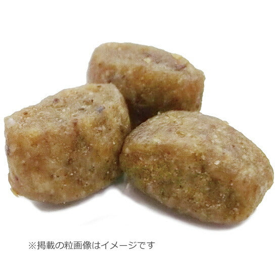 ニュートロ ナチュラルチョイス キャットフード 室内猫用 キトン チキン 2kg 無添加 子猫 猫のごはん