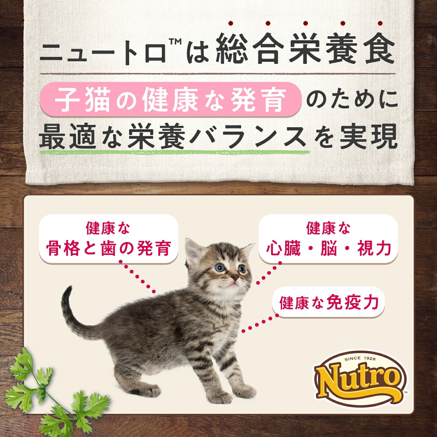 ニュートロ ナチュラルチョイス キャットフード 室内猫用 キトン チキン 2kg 無添加 子猫 猫のごはん
