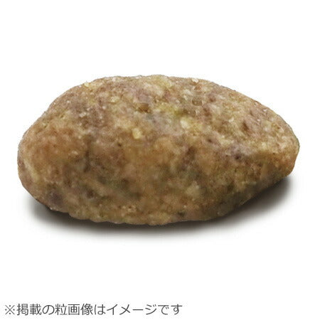 ニュートロ ナチュラルチョイス キャットフード 避妊・去勢猫用 アダルト 白身魚 500g 無添加 猫 ペットグッズ ペット用品