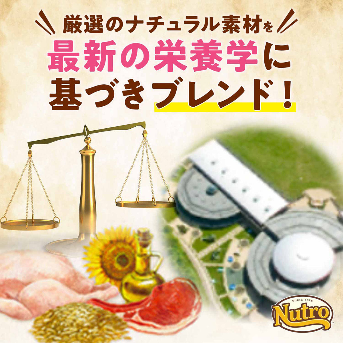 ニュートロ ナチュラルチョイス キャットフード 穀物フリー アダルト ダック 2kg 無添加 猫 ペットグッズ ペット用品