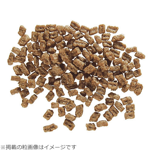 ニュートロ ナチュラルチョイス ドッグフード 避妊・去勢犬用 成犬用 チキン&玄米 6kg 無添加/ペットグッズ 送料無料