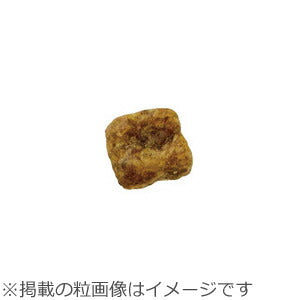 ニュートロ ナチュラルチョイス ドッグフード 子犬用 超小型犬~中型犬 チキン&玄米 6kg 無添加 送料無料