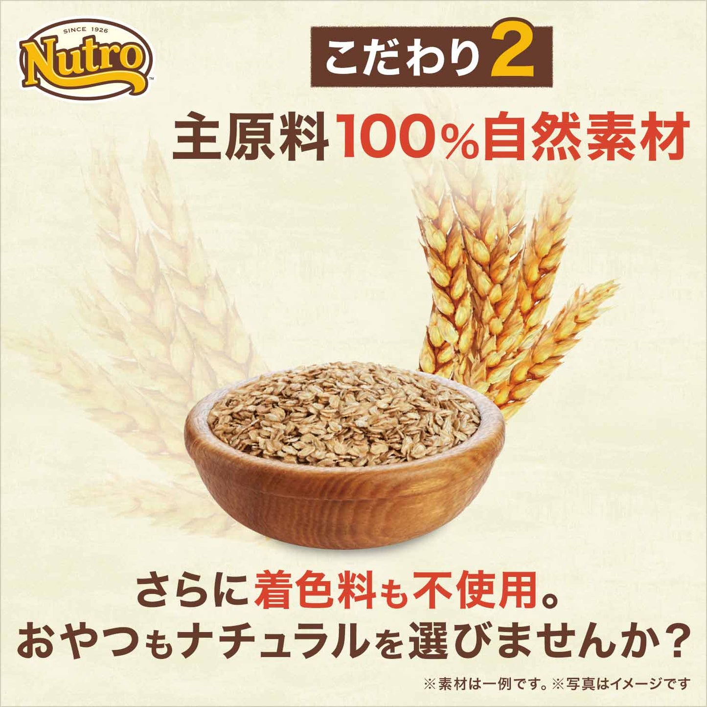 ニュートロ ミニジャーキー ビーフ スモークビーフ風味 35g(無添加 犬用おやつ トリーツ)