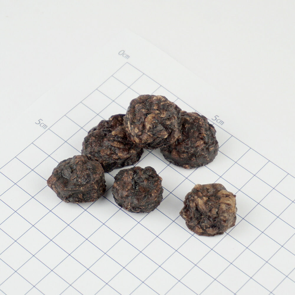 ナチュラルハーベスト おやつ ホースクランチ 25g 無添加 犬用 ドッグトリーツ 馬肉