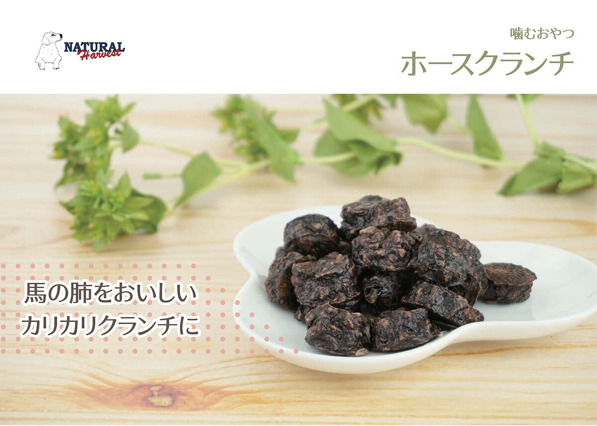 ナチュラルハーベスト おやつ ホースクランチ 25g 無添加 犬用 ドッグトリーツ 馬肉