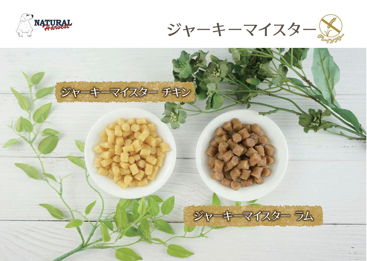 ナチュラルハーベスト おやつ ジャーキーマイスター チキン 50g 無添加 国産