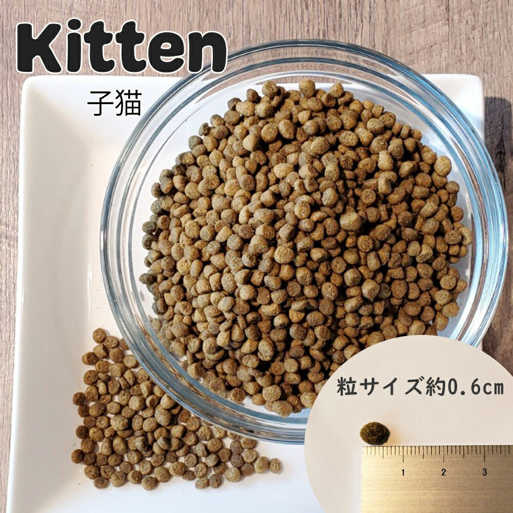 ネイチャーズハグ Nature’s HUG キャットフード キトン グロース 1.81kg【送料無料】 無添加 サスティナビリティ ビーガン 代替タンパク