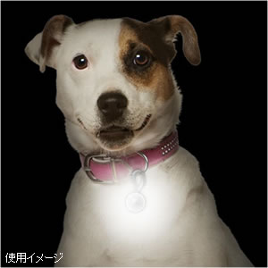 ナイトアイズ ペットリット パウピンク 犬用品/猫用品/ペットグッズ/ペット用品