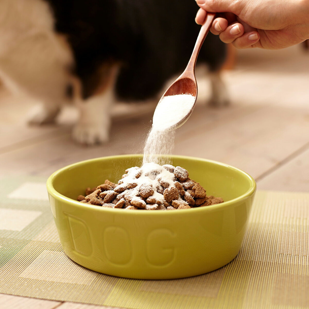 ニッピ サプリメント あしたも走ろっ。 犬用 160g サプリ 関節 皮膚 コラーゲン 粉
