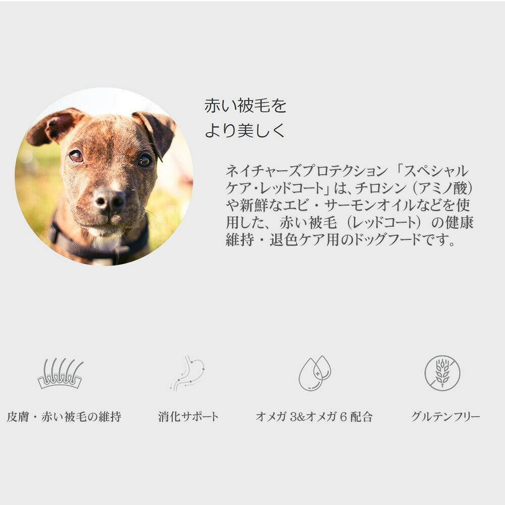 ネイチャーズプロテクション ドッグフード レッドコート 1.5kg(赤 被毛 成犬 無添加 グルテンフリー マイクロゼオゲン プードル ダックス チワワ)