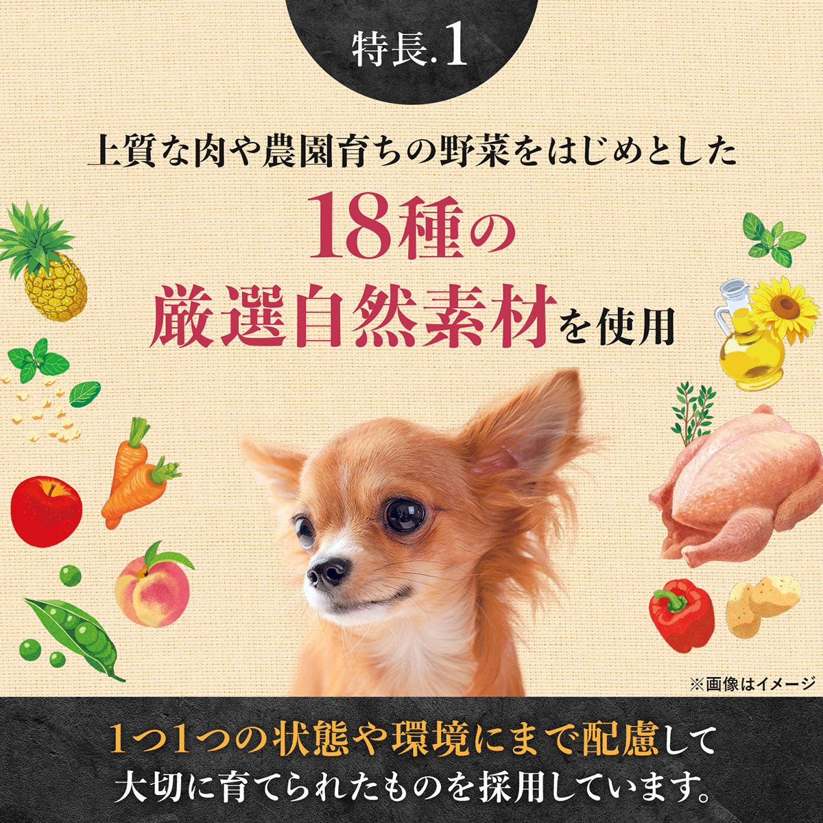 ニュートロ シュプレモ 超小型犬~小型犬用 成犬用 プレミアムブレンド チキン 500g 無添加 ドッグフード フリーズドライ 小粒
