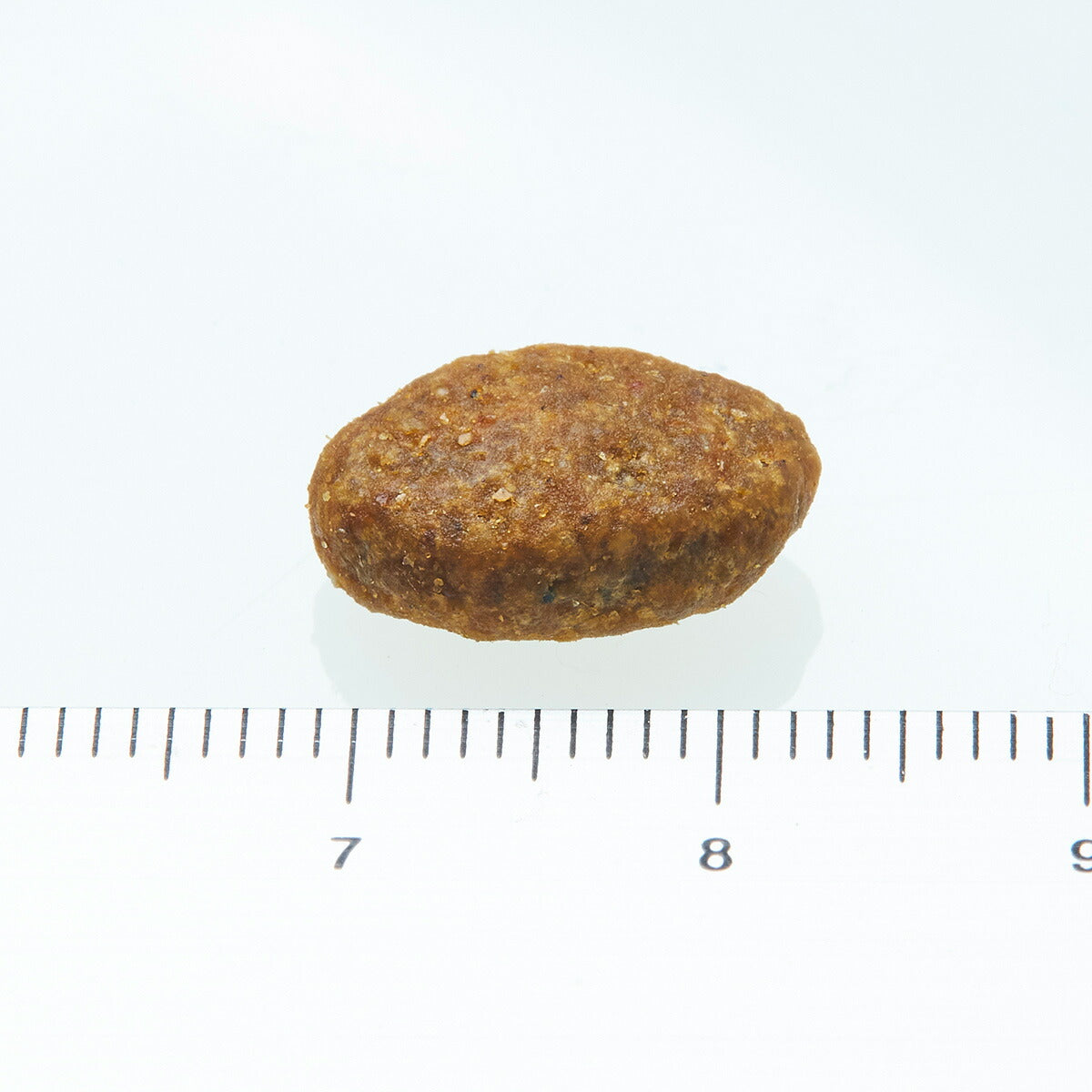 ニュートロ シュプレモ 超小型犬~小型犬用 成犬用 プレミアムブレンド ラム 1.5kg 無添加 ドッグフード フリーズドライ 小粒