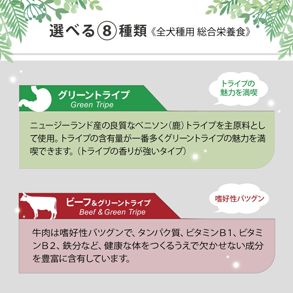 ニュートライプ ピュア ドッグフード ウェットフード ウナギ&グリーントライプ 185g 無添加 缶