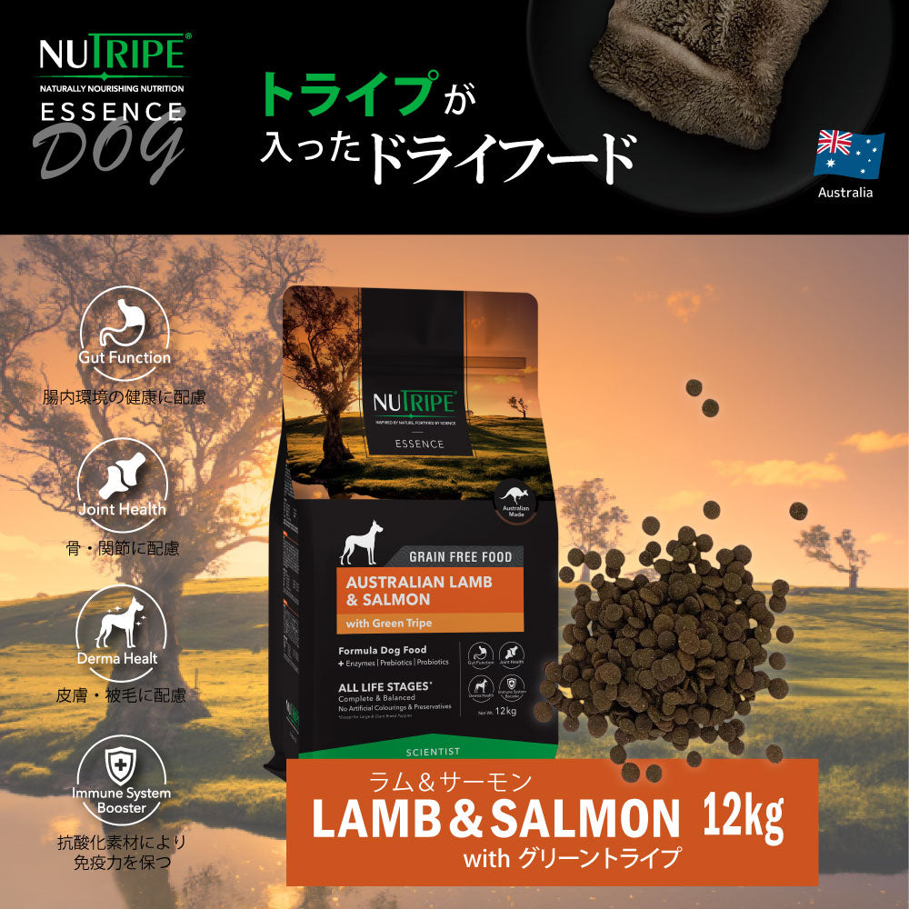 ニュートライプ GFドライ ドッグ ラム&サーモン with グリーントライプ 12kg 送料無料グレインフリー 穀物不使用 犬 ドッグフード 無添加