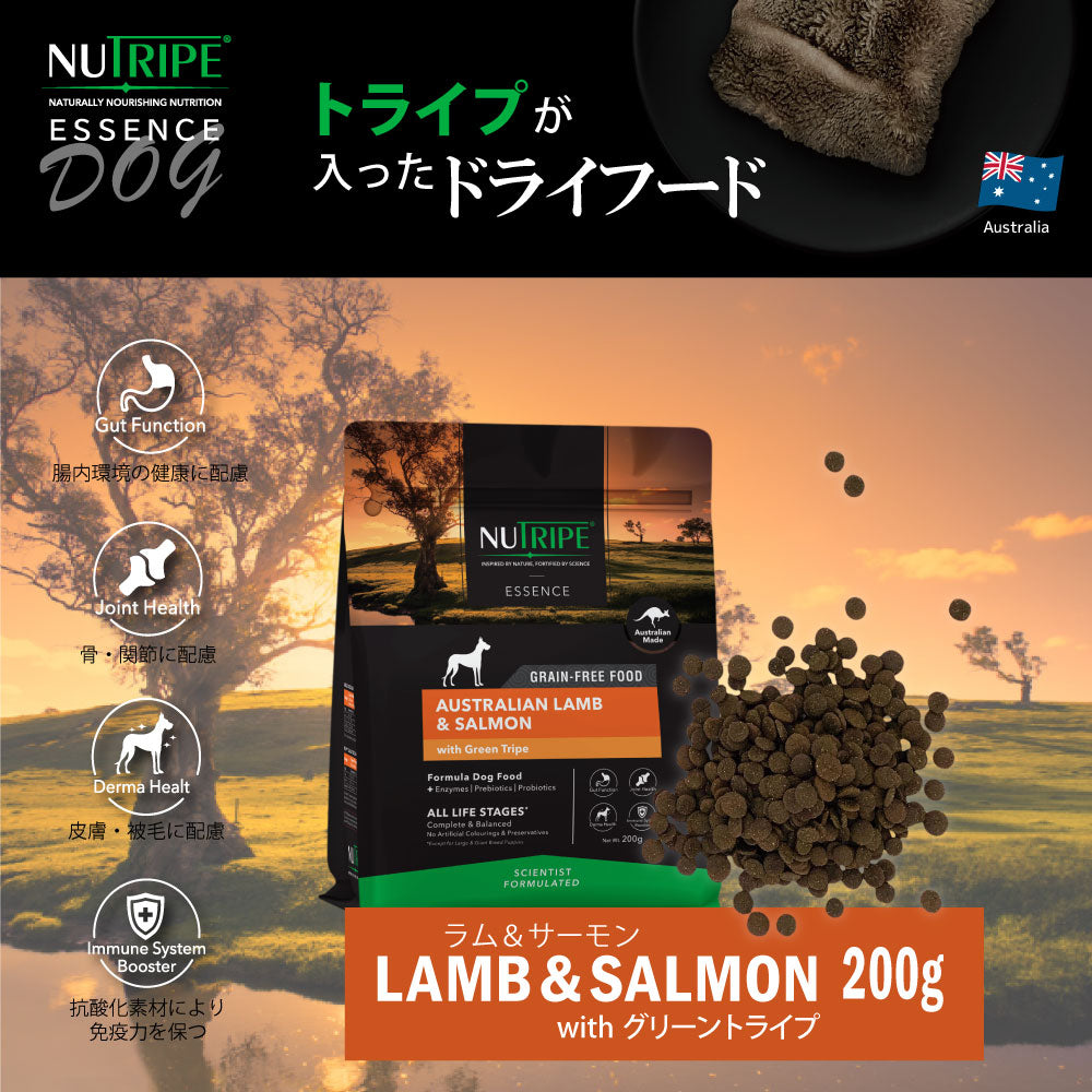 ニュートライプ GFドライ ドッグ ラム&サーモン with グリーントライプ 200g×6袋【送料無料】 グレインフリー 穀物不使用 犬 ドッグフード 無添加
