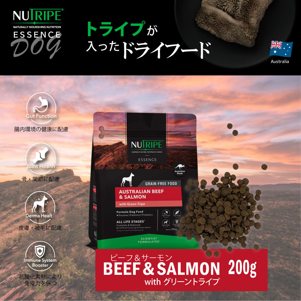 ニュートライプ GFドライ ドッグ ビーフ&サーモン with グリーントライプ 200g×12袋【送料無料】 グレインフリー 穀物不使用 犬 ドッグフード 無添加
