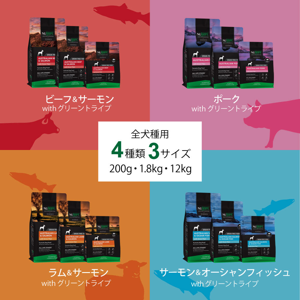 ニュートライプ GFドライ ドッグ サーモン&フィッシュ with グリーントライプ 200g×6袋【送料無料】 グレインフリー 穀物不使用 犬 ドッグフード 無添加